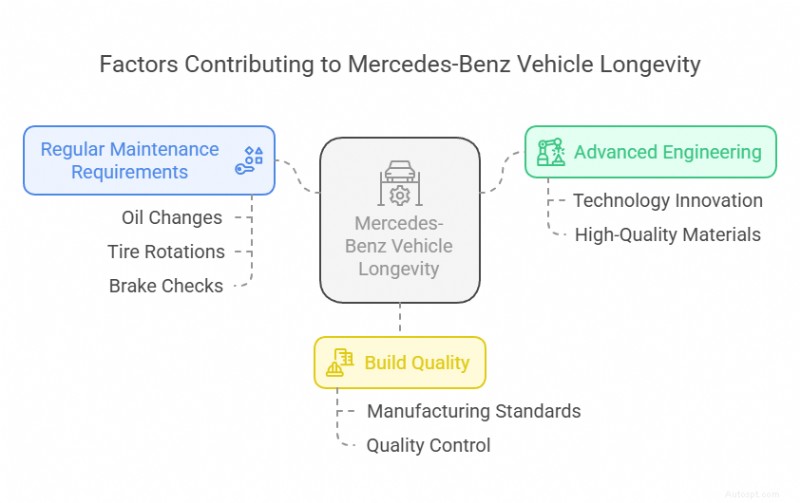 Надежность автомобилей Mercedes-Benz для техасских водителей:что нужно знать 